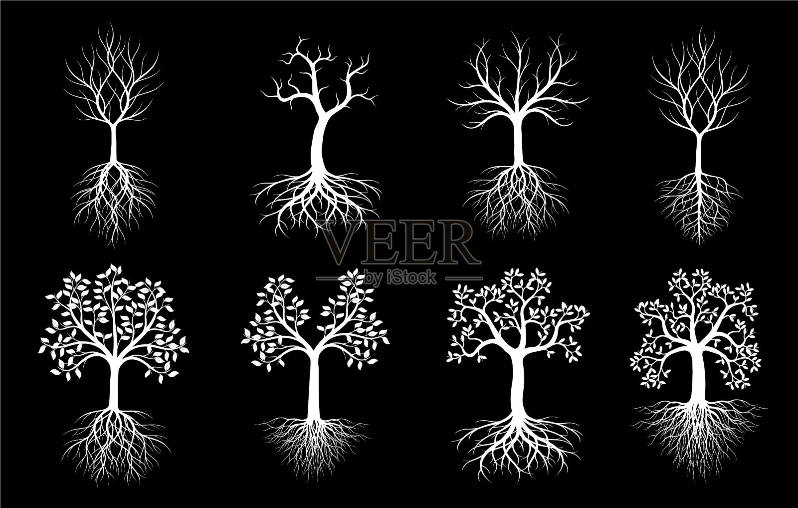 树有叶和根的轮廓插画图片素材