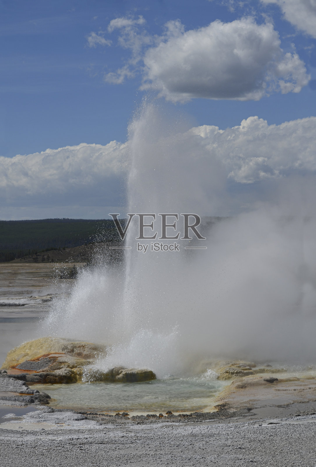 黄石公园的漏壶间歇泉照片摄影图片