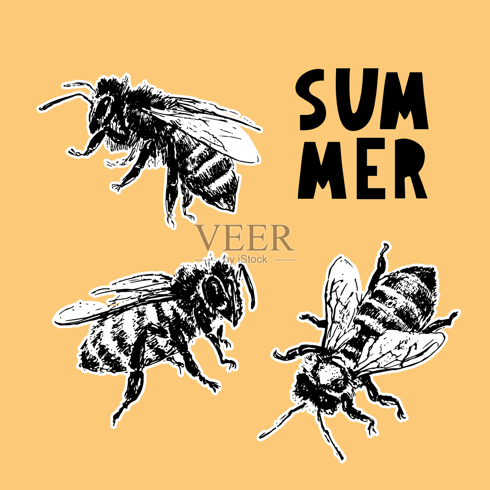 手绘蜜蜂素描黑蜂蜜插画图片素材