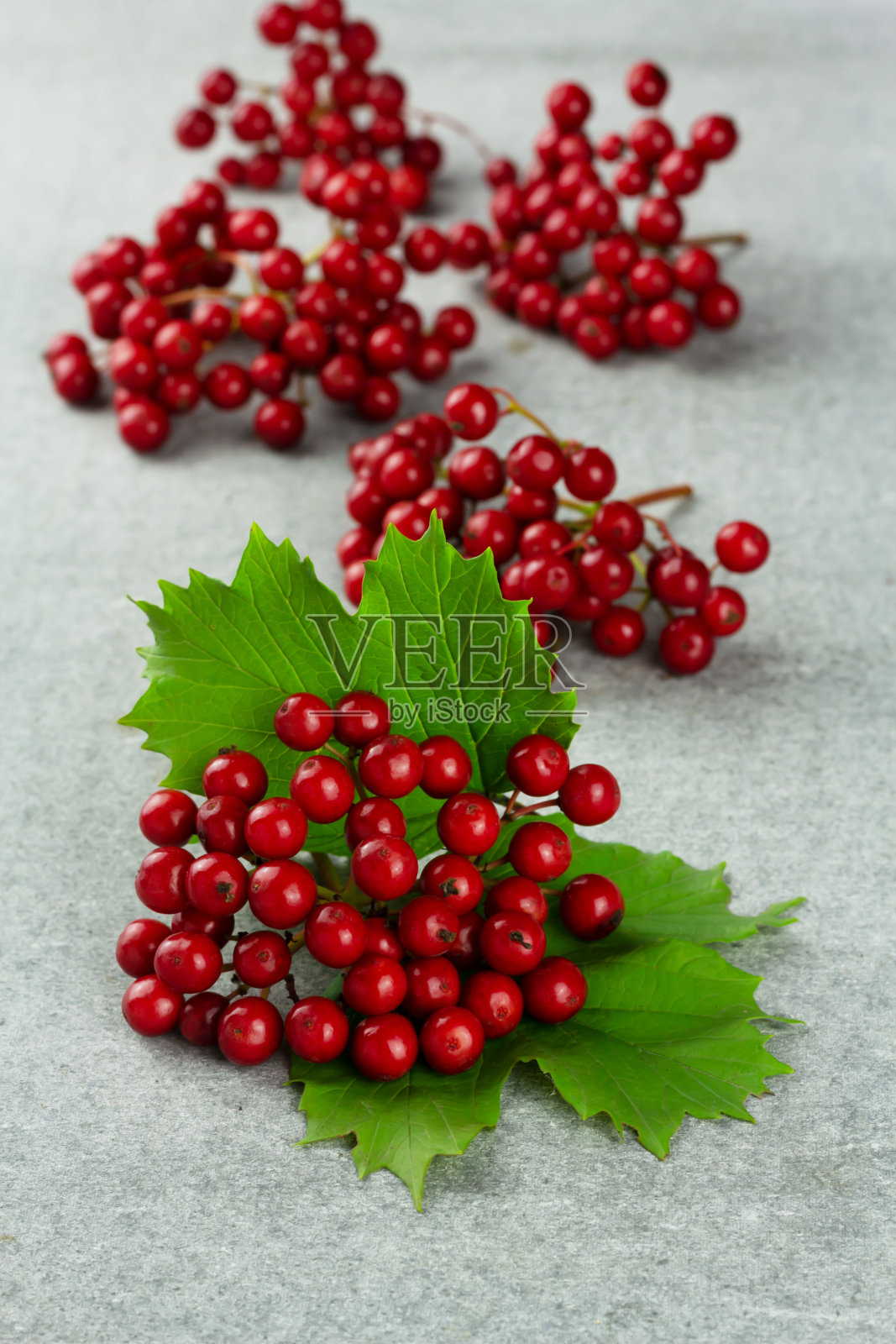 新鲜kalina贝瑞。超级食物。医药产品照片摄影图片