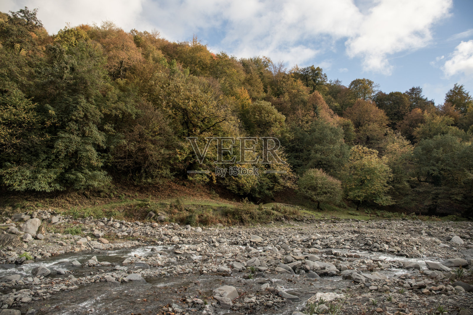 在一个阳光明媚的早晨，山上的河流。山上美丽的自然风光。照片摄影图片