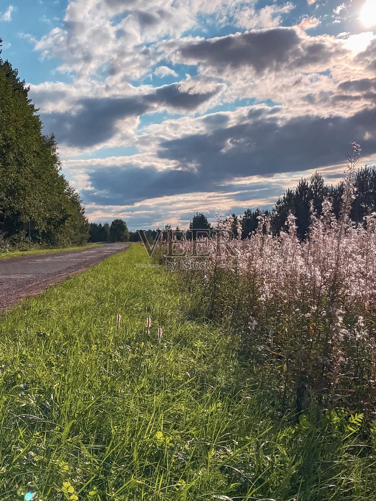 地平线上的方法照片摄影图片