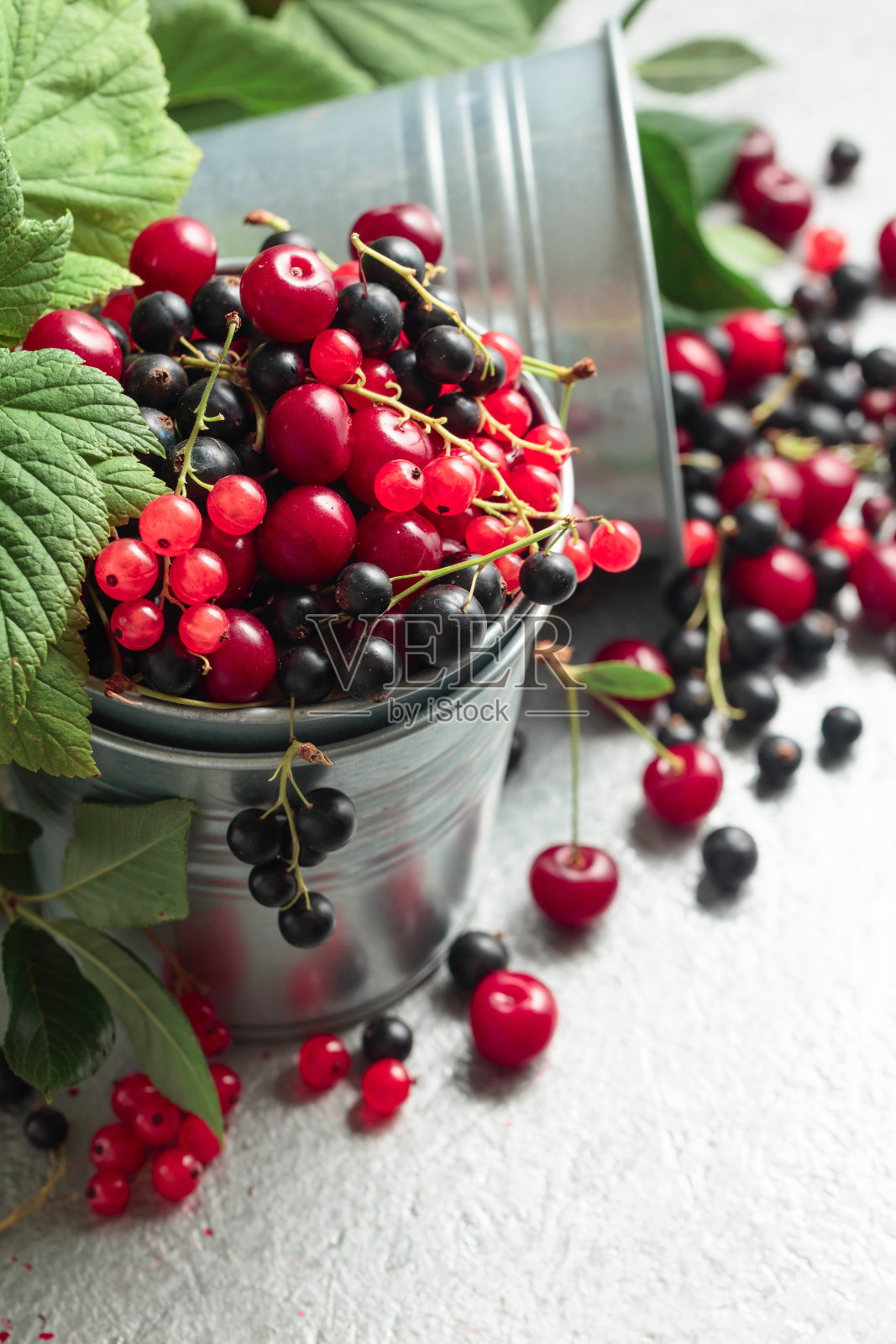 小金属桶里有樱桃、红醋栗和黑醋栗。照片摄影图片
