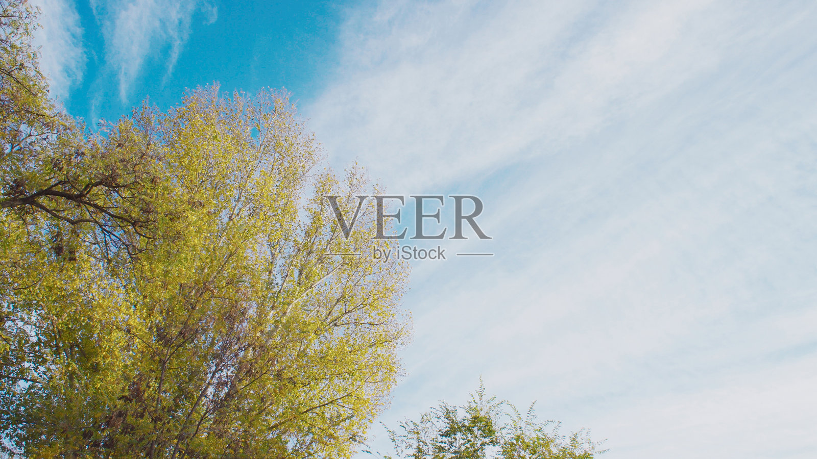 五颜六色的树叶在蓝色的秋天天空背景。照片摄影图片