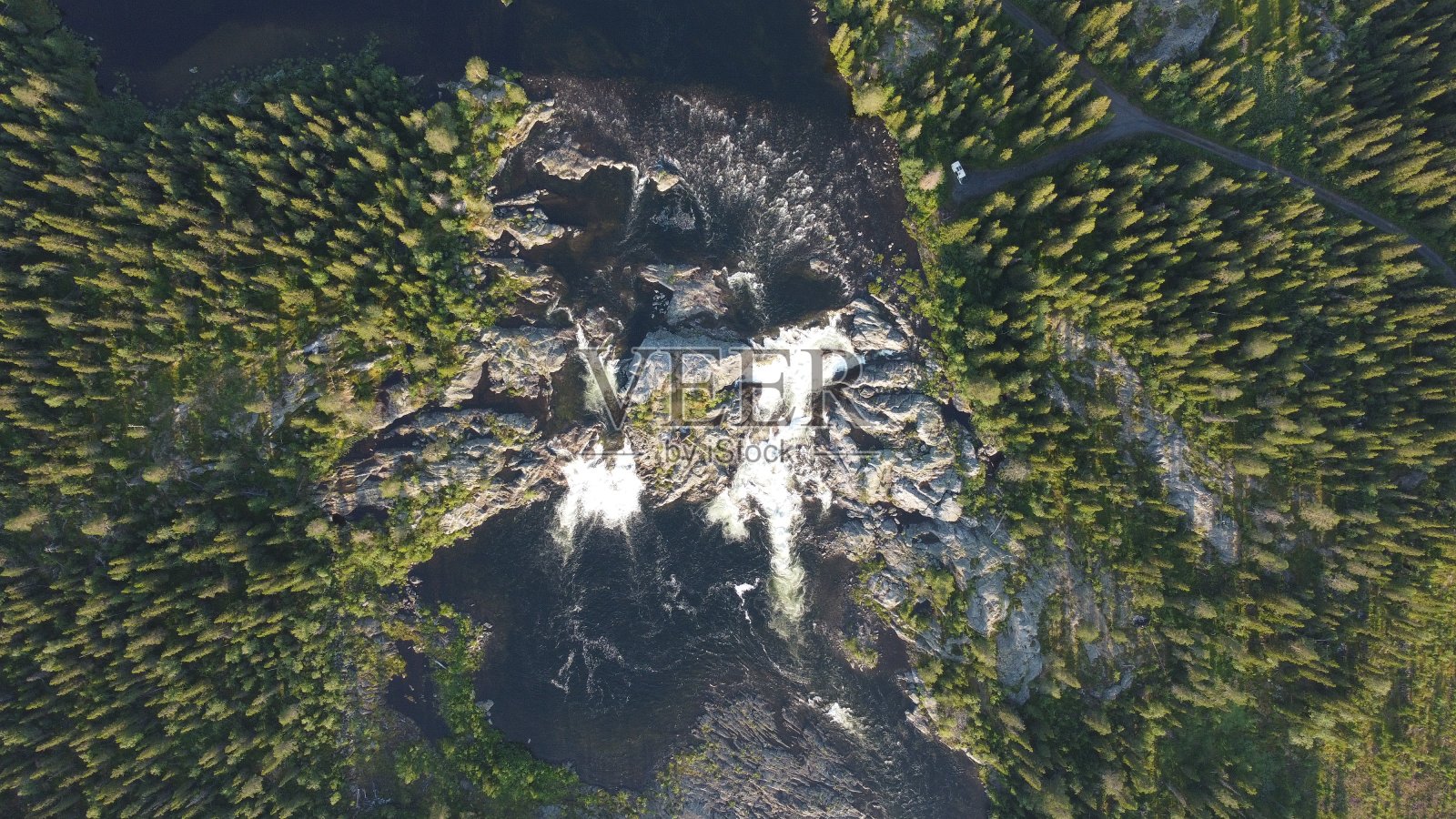 森林河照片摄影图片