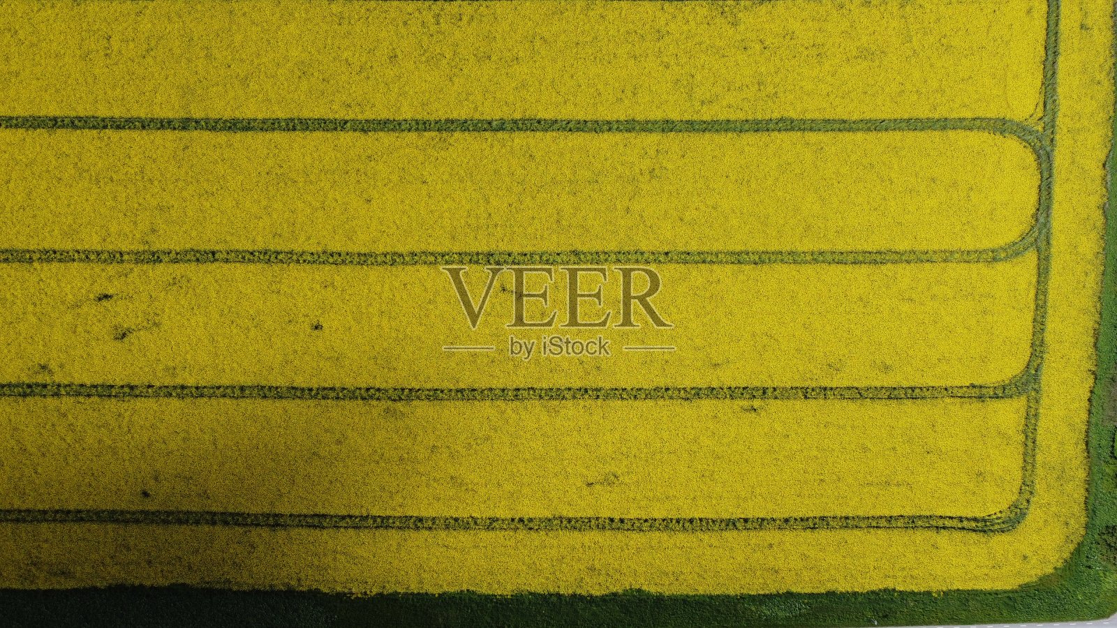 从上面的字段照片摄影图片