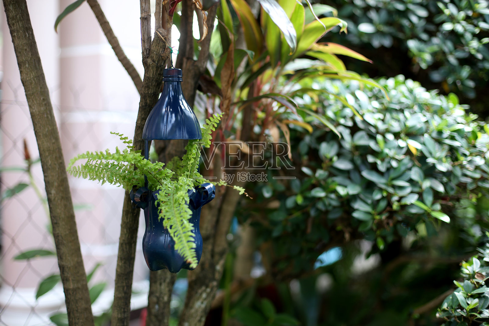 重用照片摄影图片