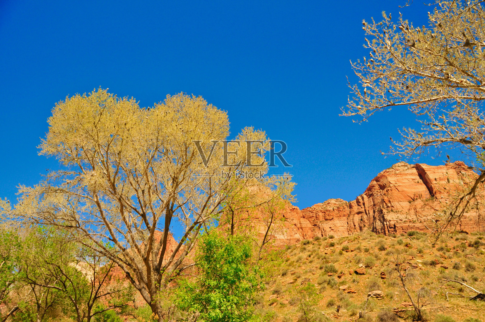美国西南航空照片摄影图片