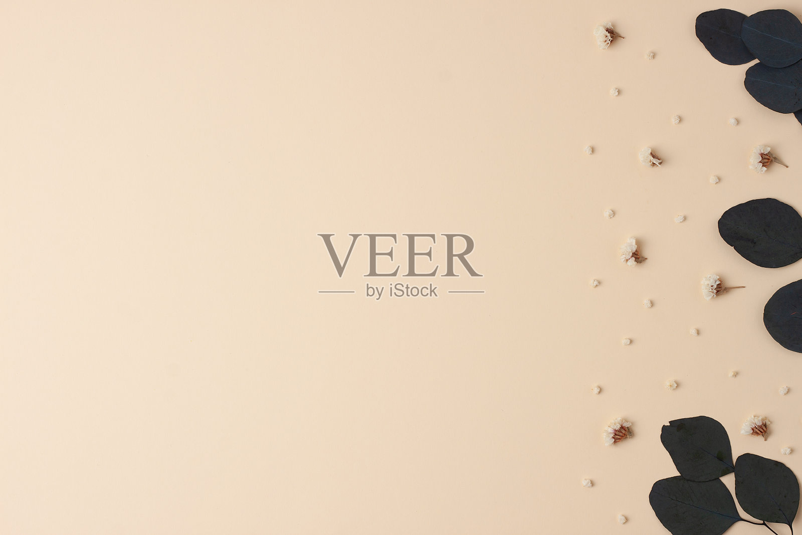 化妆品背景与桉树自然背景上粉彩米色。平铺，复制空间照片摄影图片