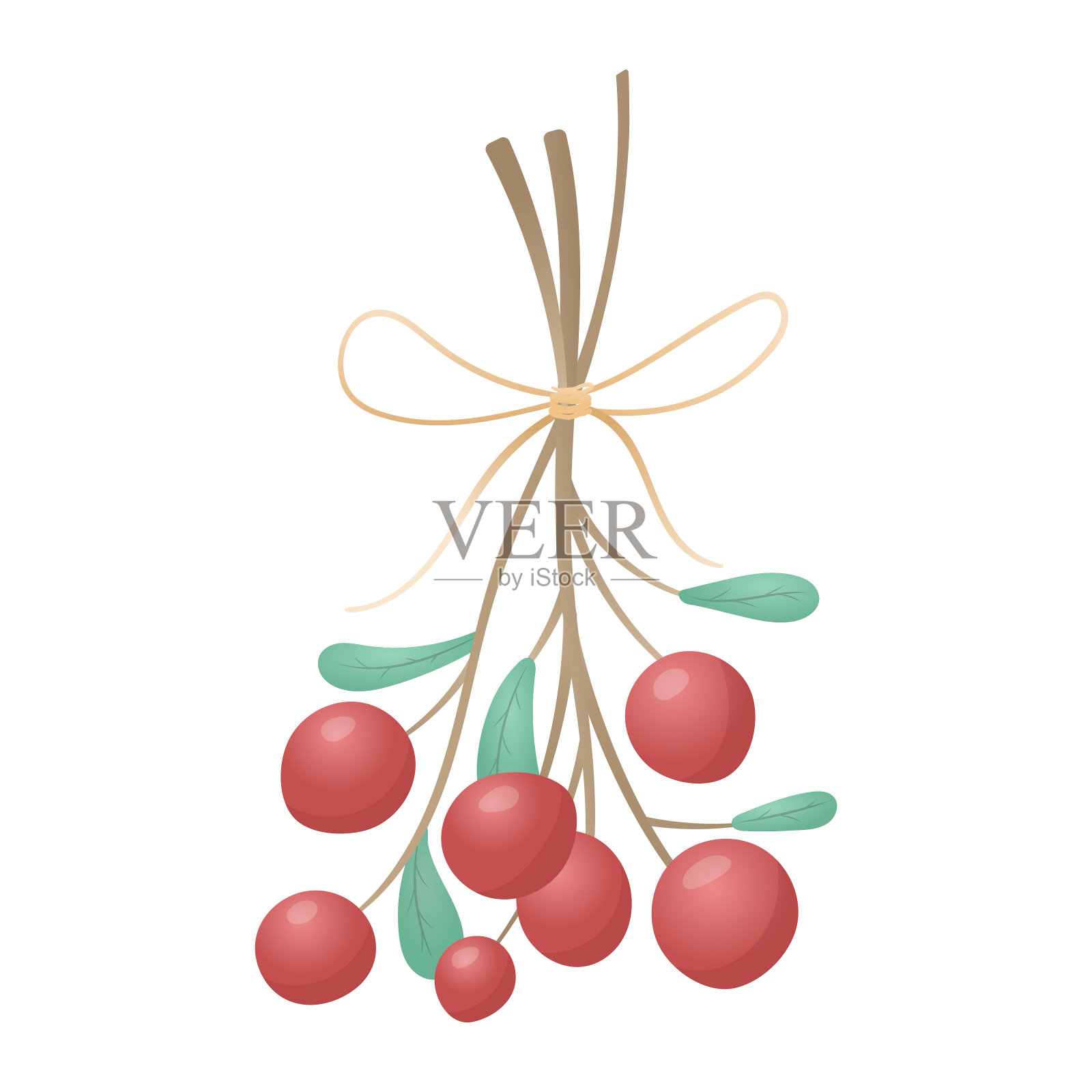 孤立的插图一束树枝与一根绳子与红色的花楸或越橘浆果。插画图片素材