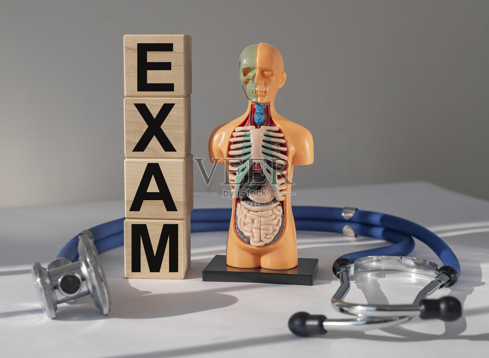 医学考试的概念。内部器官检查照片摄影图片