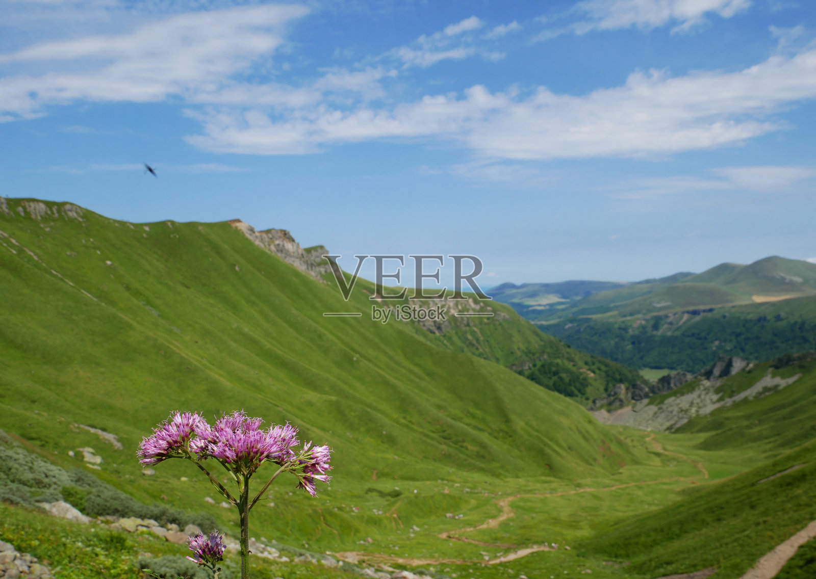 法国中部奥弗涅火山的自然区域公园照片摄影图片