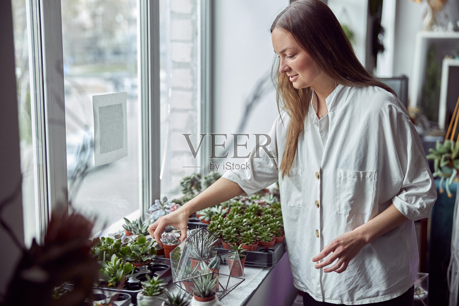 花店出售各种干花照片摄影图片
