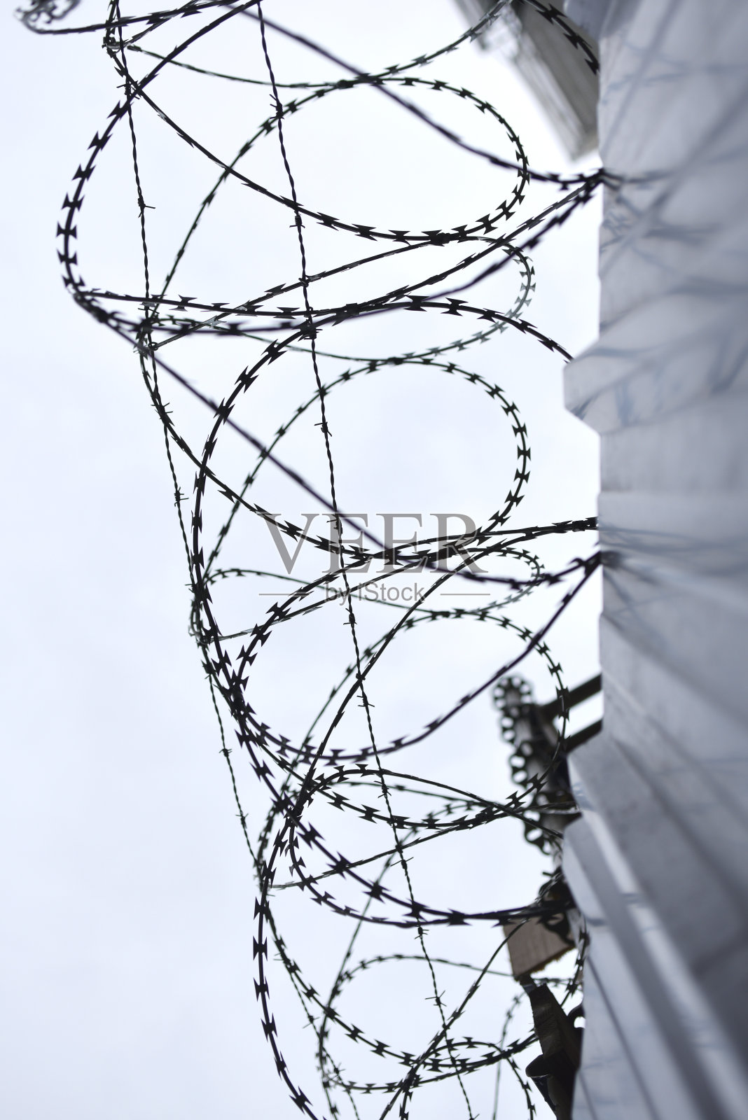 铁丝网照片摄影图片