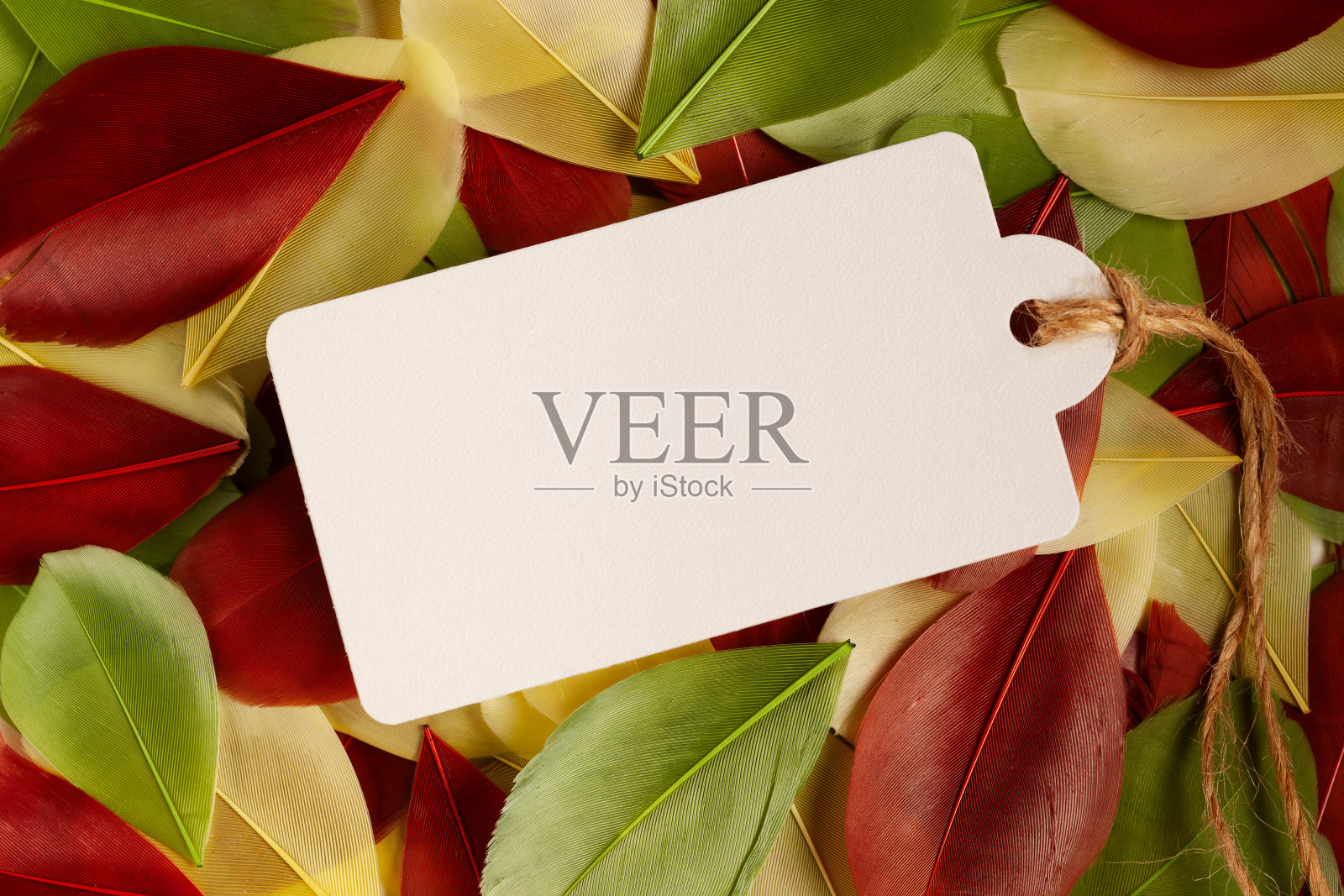 抽象的背景与彩色的鸟羽毛照片摄影图片