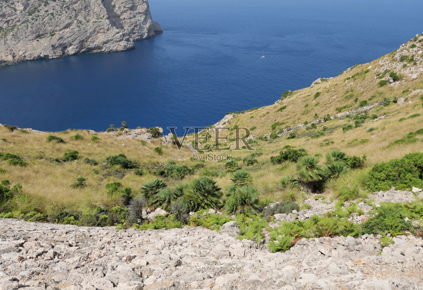 马略卡岛,Formentor照片摄影图片