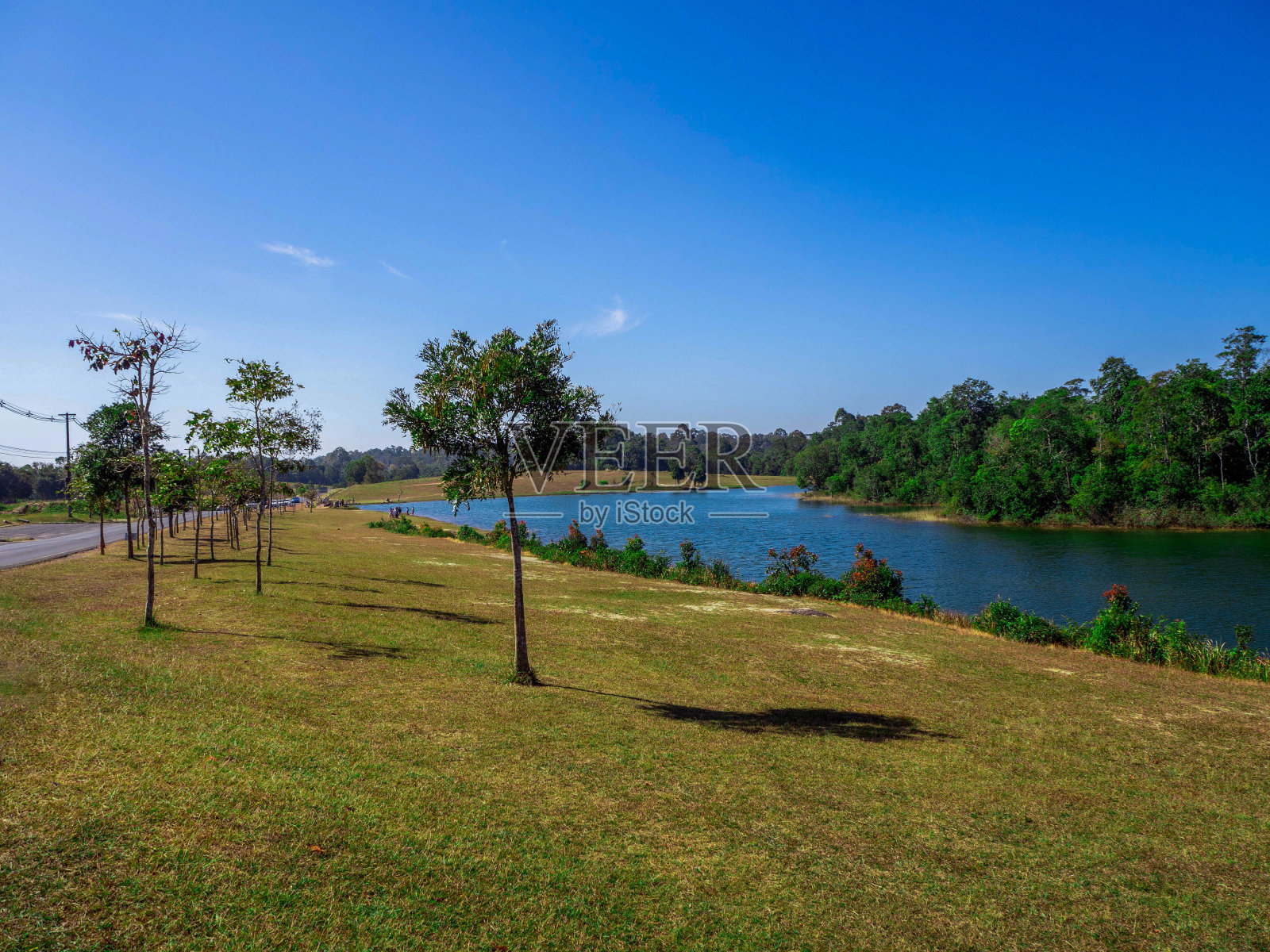 在泰国那空Ratchasima的Khao Yai国家公园，美丽的湖附近的乡村道路和草地。照片摄影图片