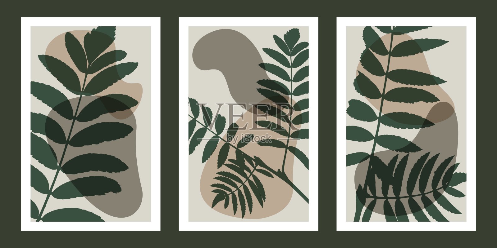 花，植物墙艺术向量集。植物剪影与枝和叶插图。树叶绘画与抽象的形状。极简主义设计的海报，封面，明信片，墙纸。插画图片素材