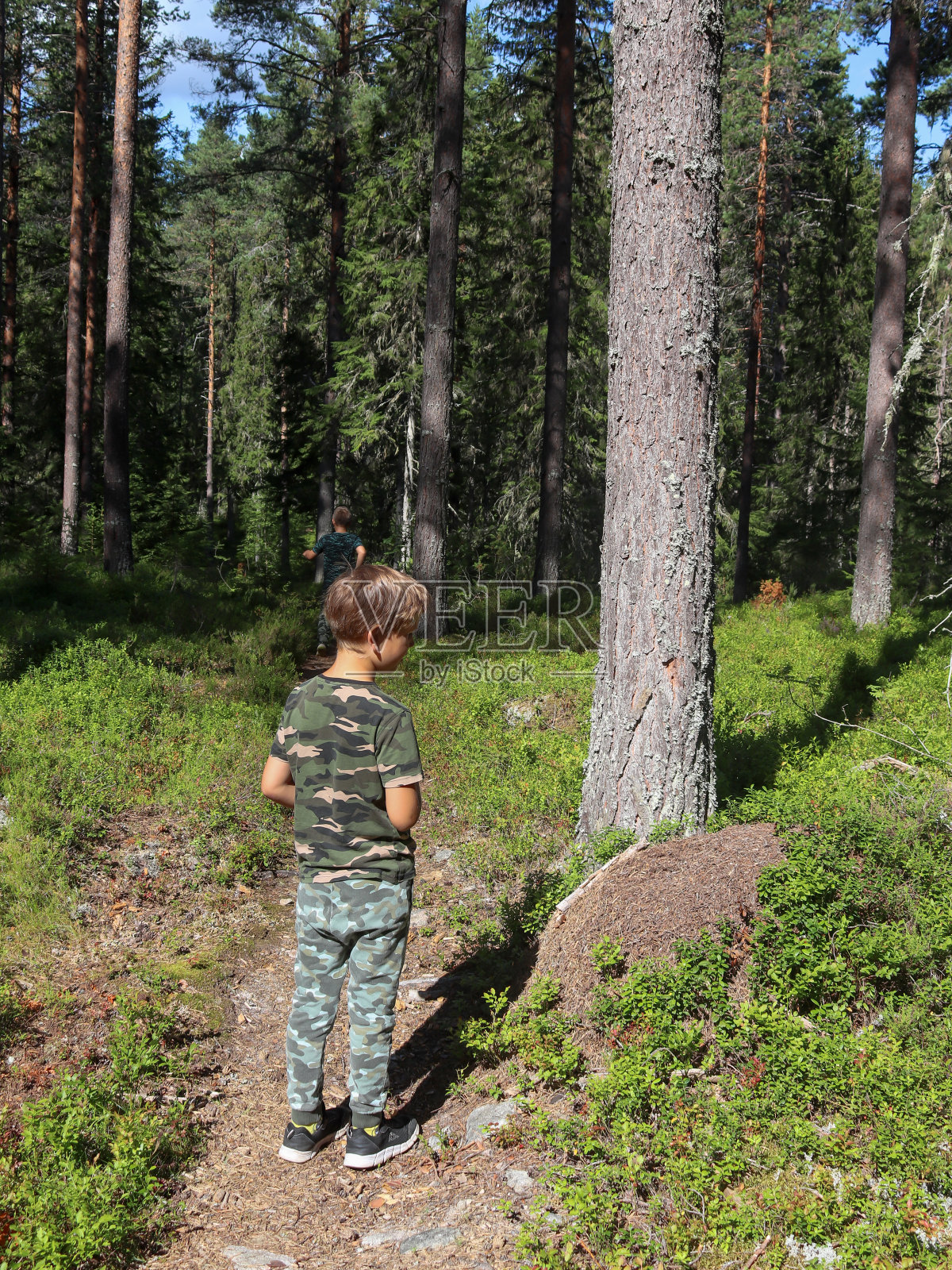 男孩站在森林里的蚁冢旁照片摄影图片