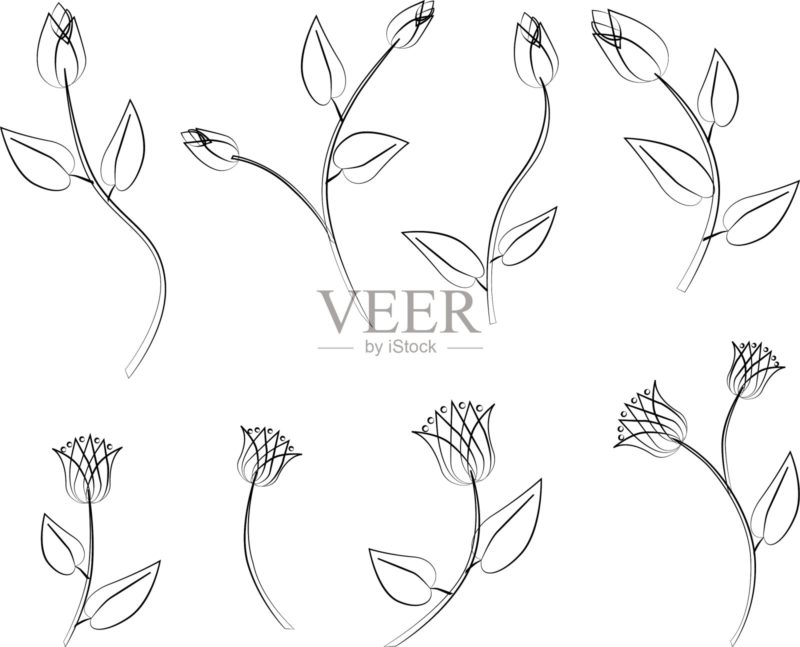 轮廓画装饰抽象玫瑰和插画图片素材