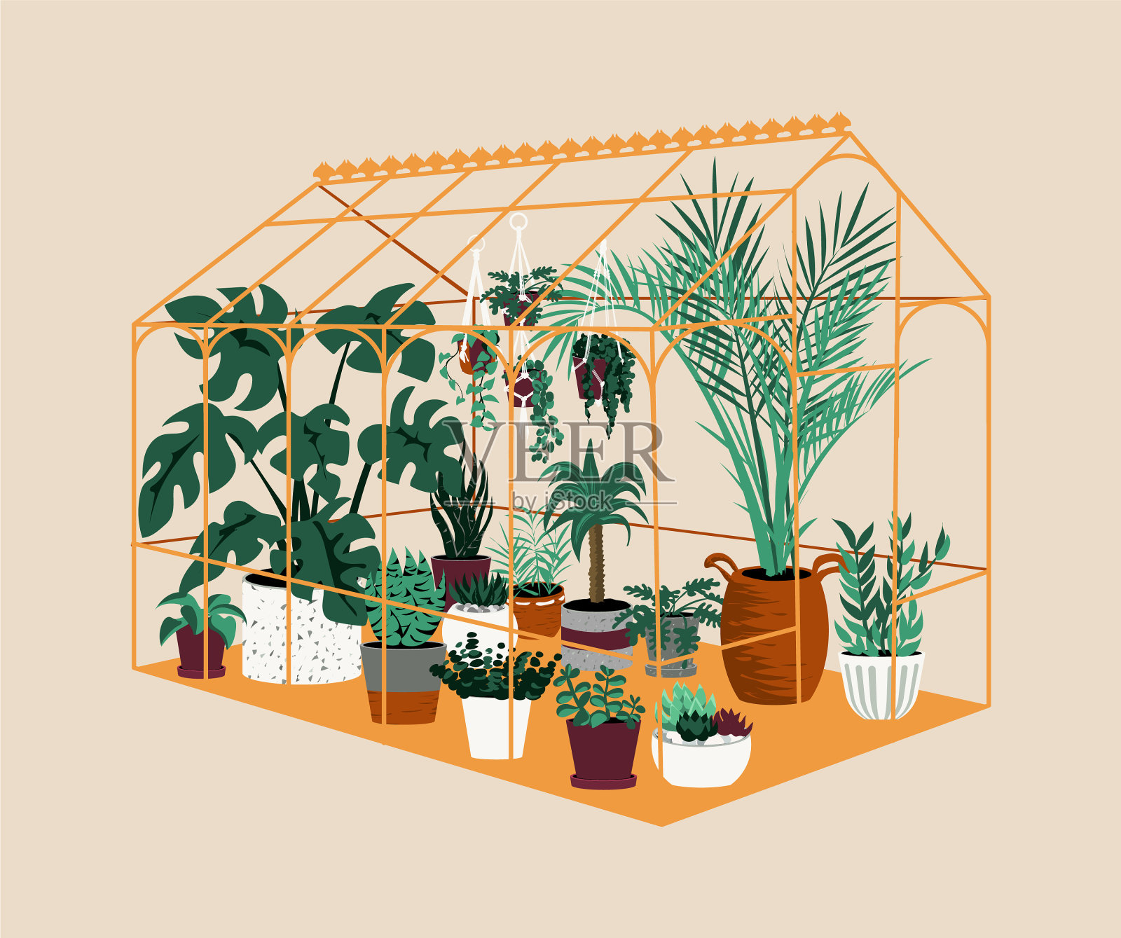 温室植物屋与异国情调和家插画图片素材