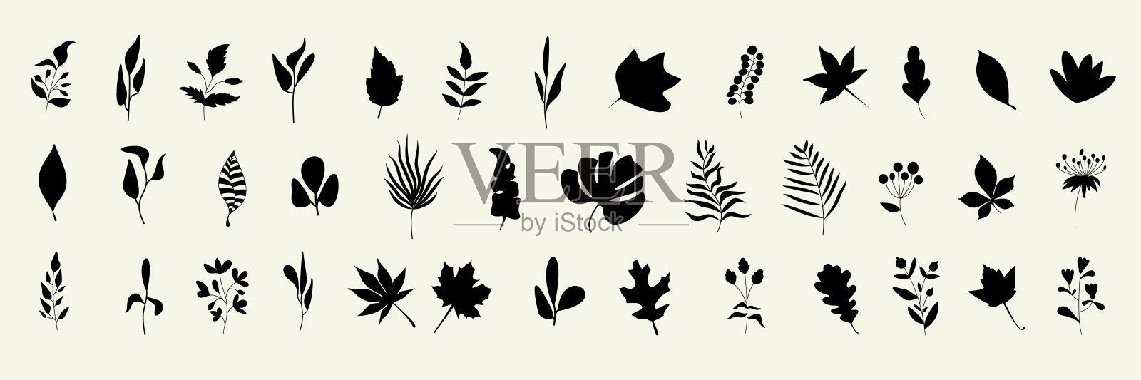 一大片树叶的剪影。秋天和春天的背景。收集蕨类，枫树，栗树，桦树，花楸，橡树，柳树，丁香，白杨，白蜡树，银杏叶。股票矢量图插画图片素材