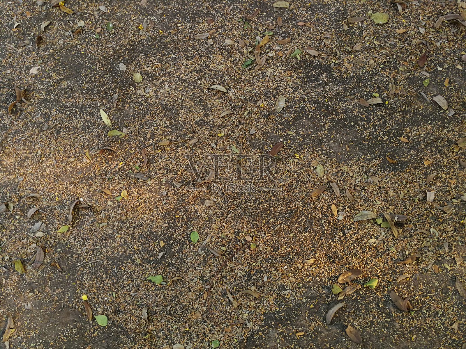 枯燥乏味的粗糙的背景照片摄影图片