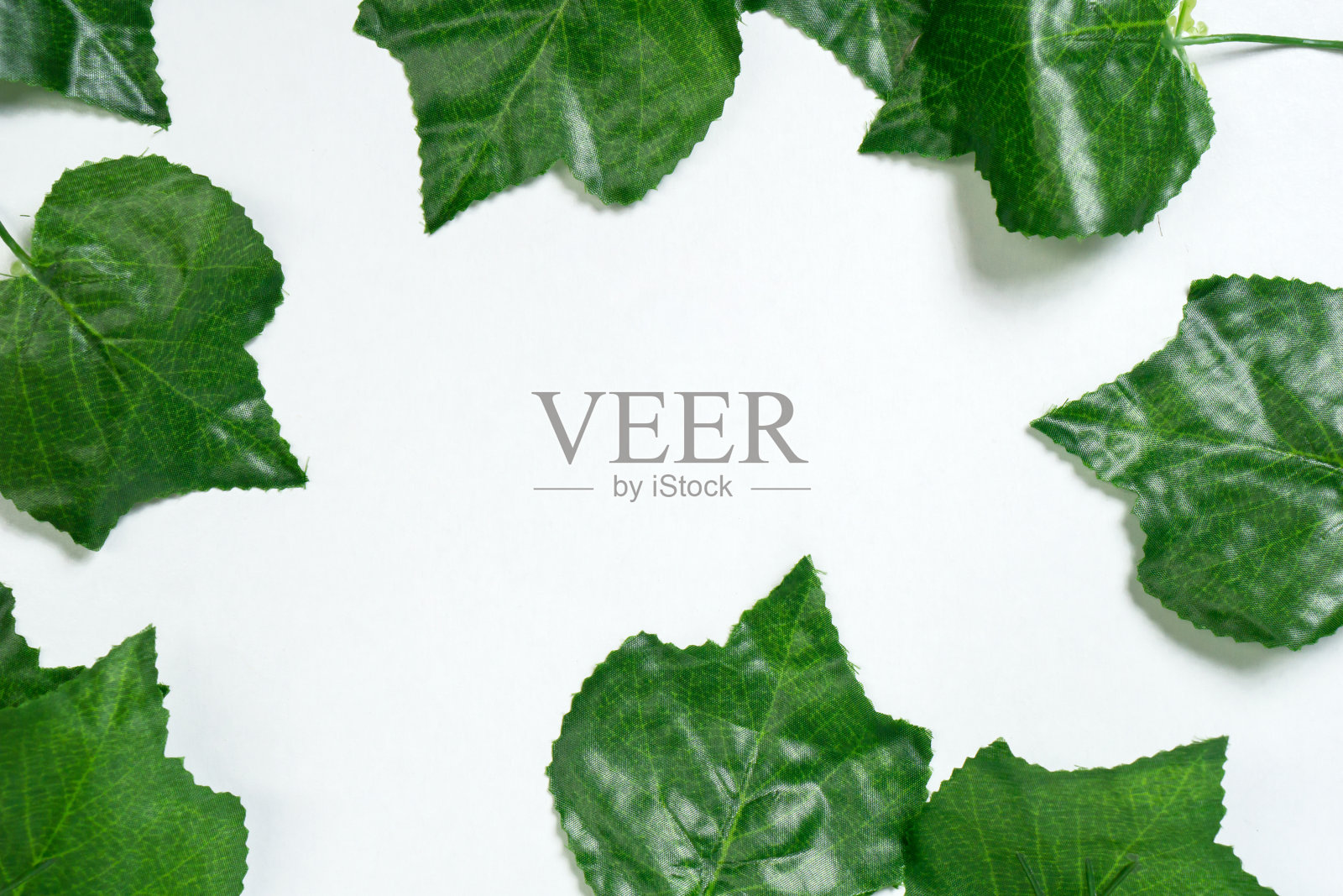 装饰的鲜花照片摄影图片