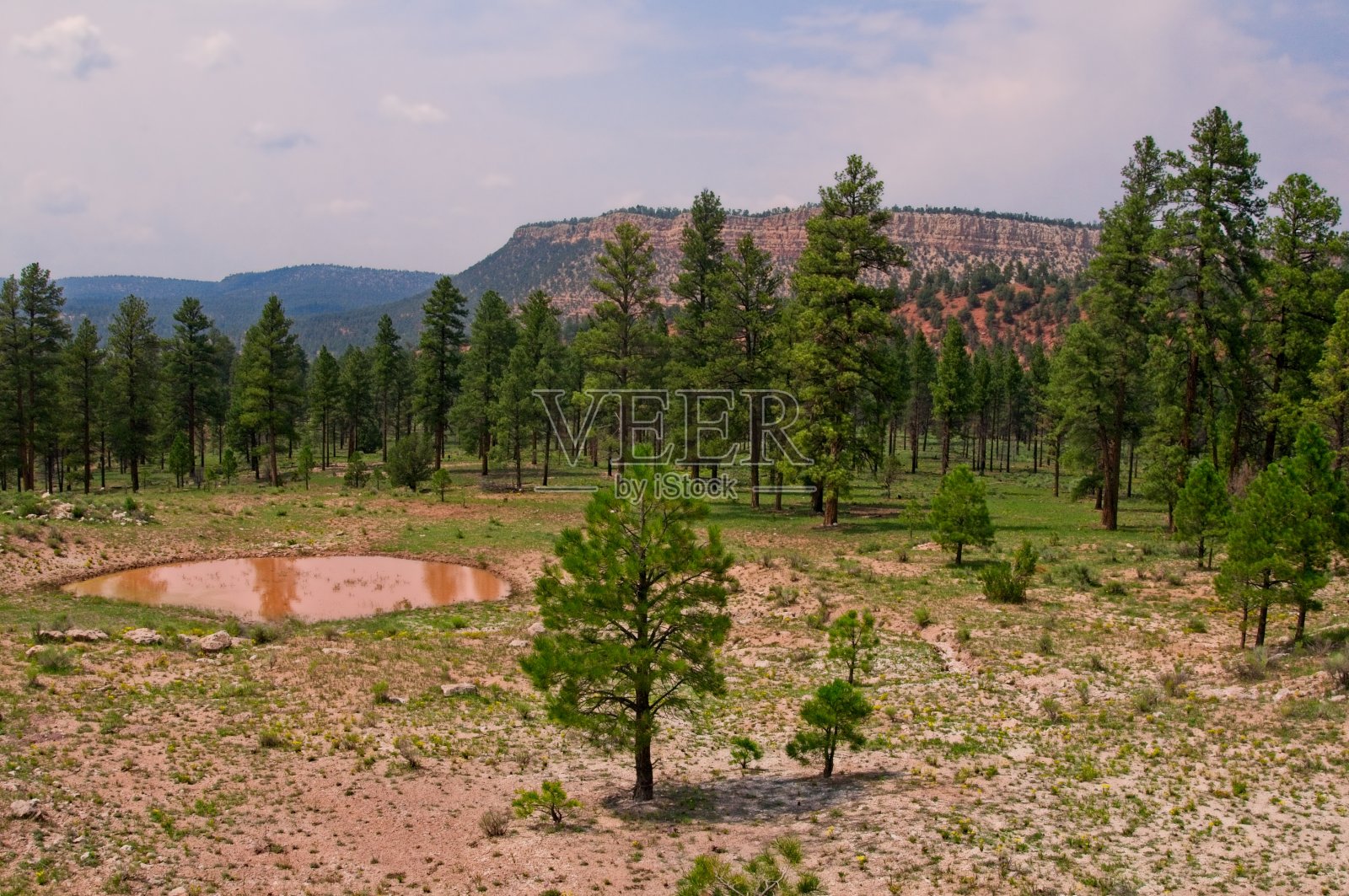 新墨西哥州的池塘照片摄影图片