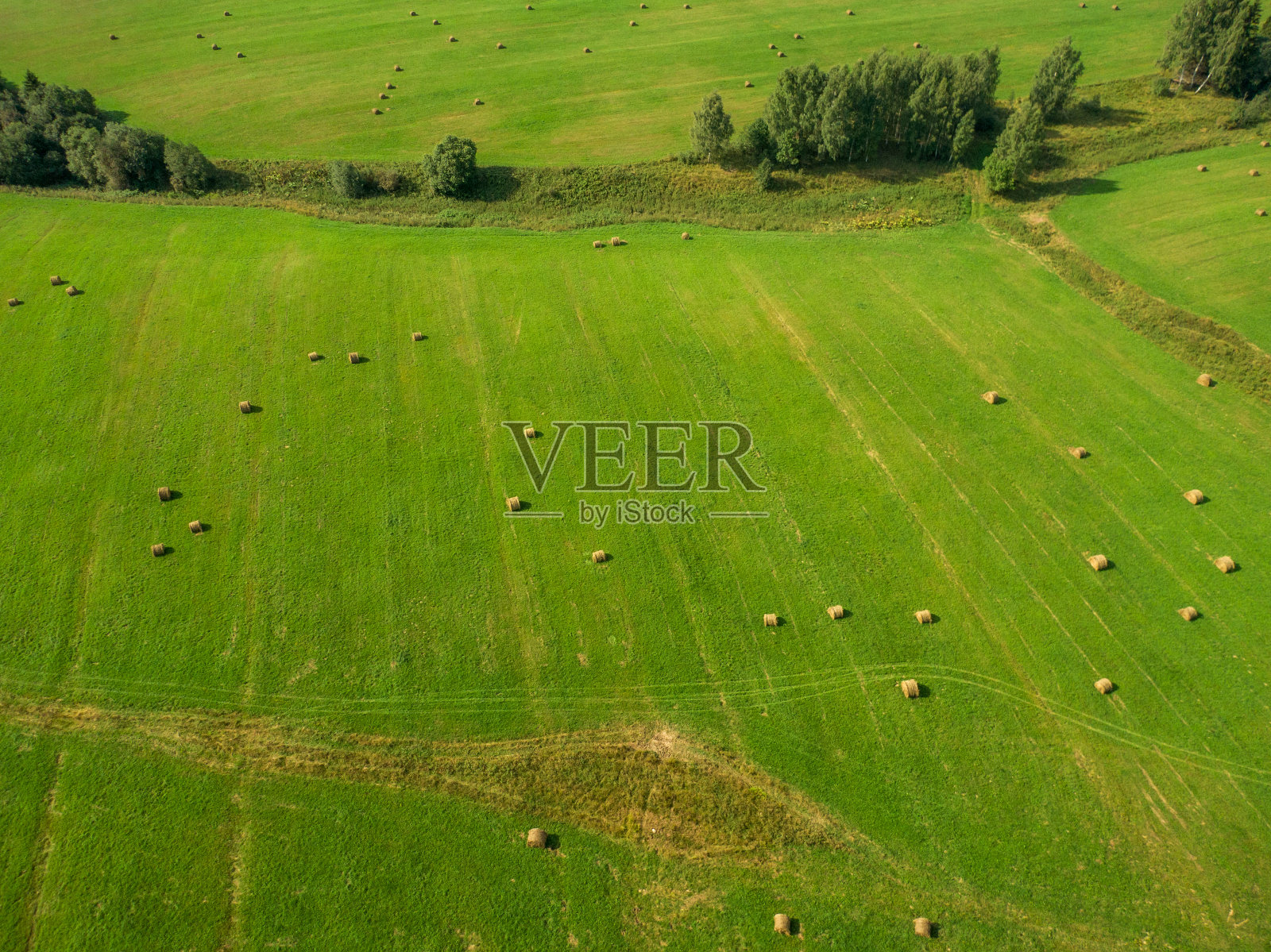 绿色农田鸟瞰图照片摄影图片