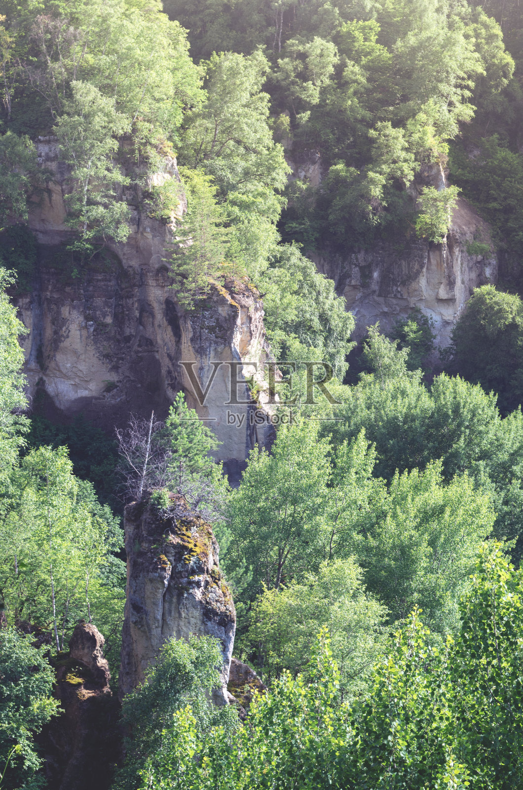 森林中的山地景观。阳光照亮了陡峭的悬崖。照片摄影图片