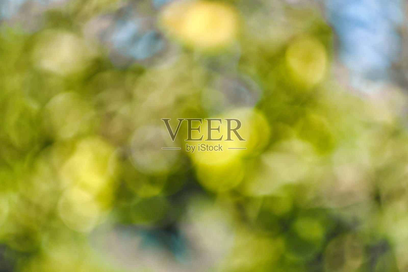 摘要，大自然背景散景，绿树成荫的森林。绿色自然在模糊风格的创意设计。照片摄影图片