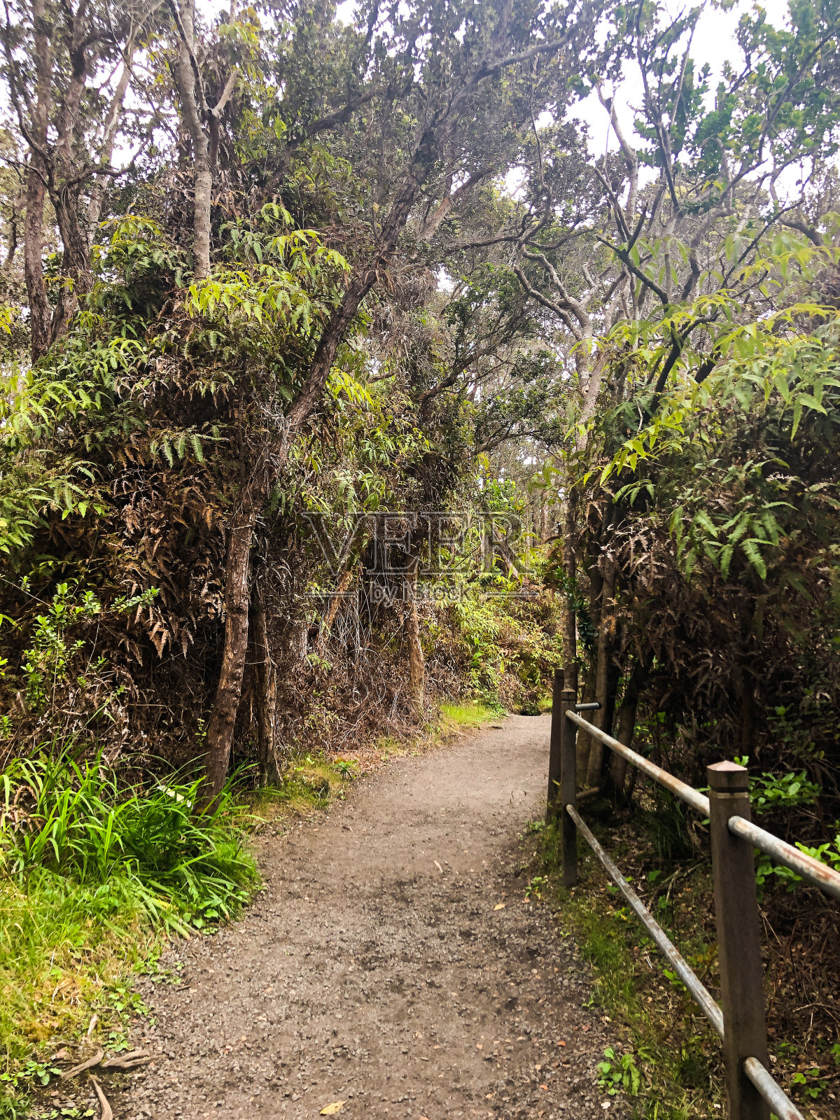 在夏威夷大岛上旅行照片摄影图片