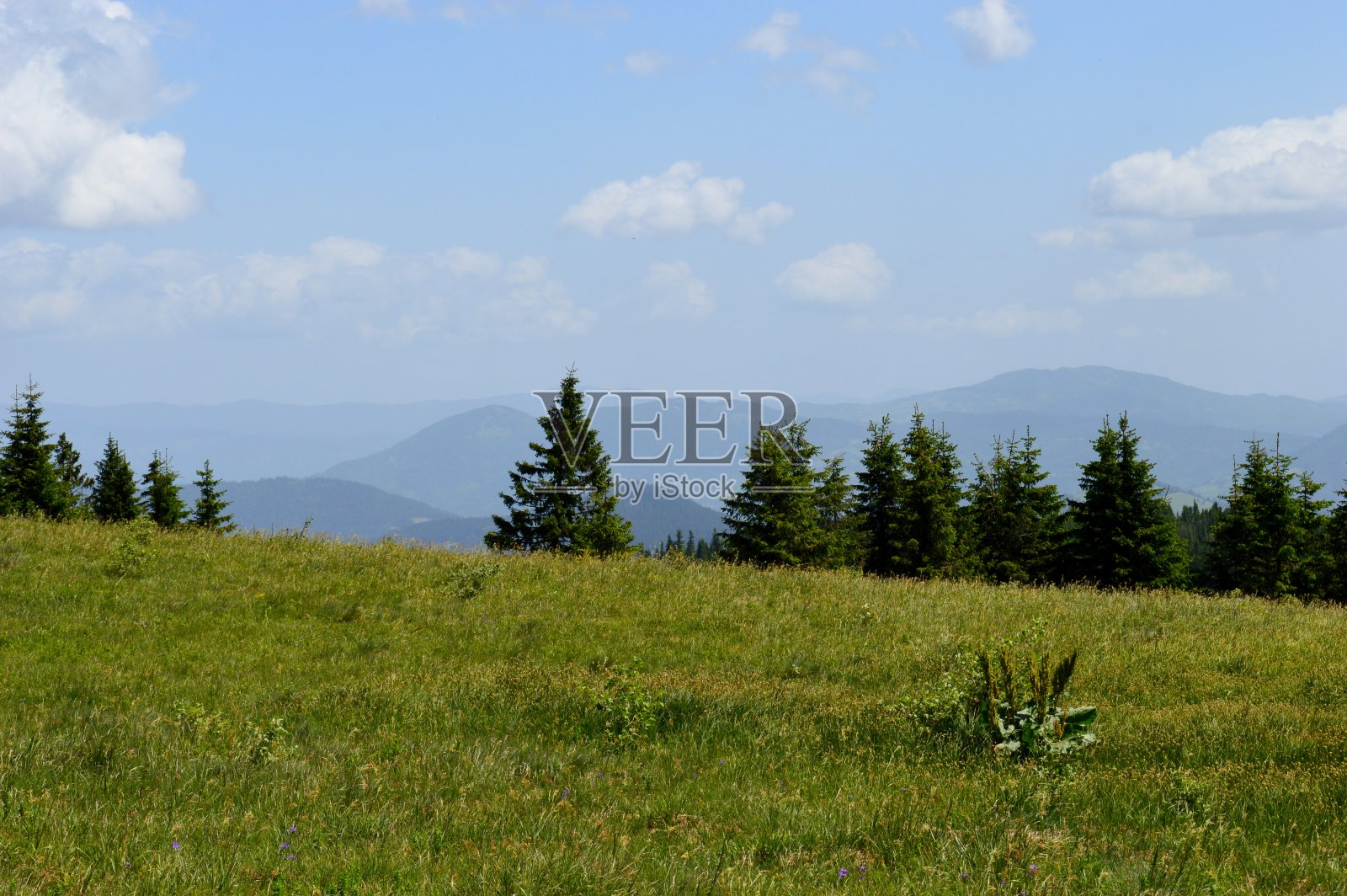 夏天山上的风景照片摄影图片
