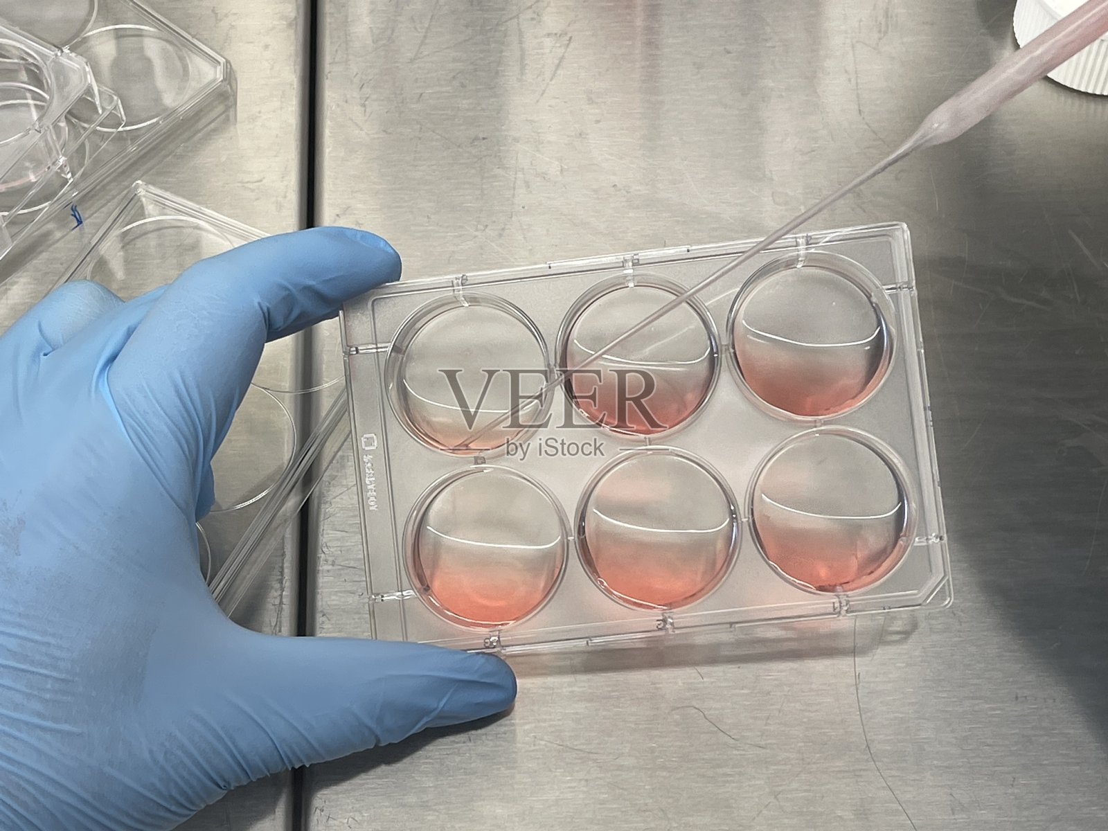 细胞培养工作正在进行中照片摄影图片