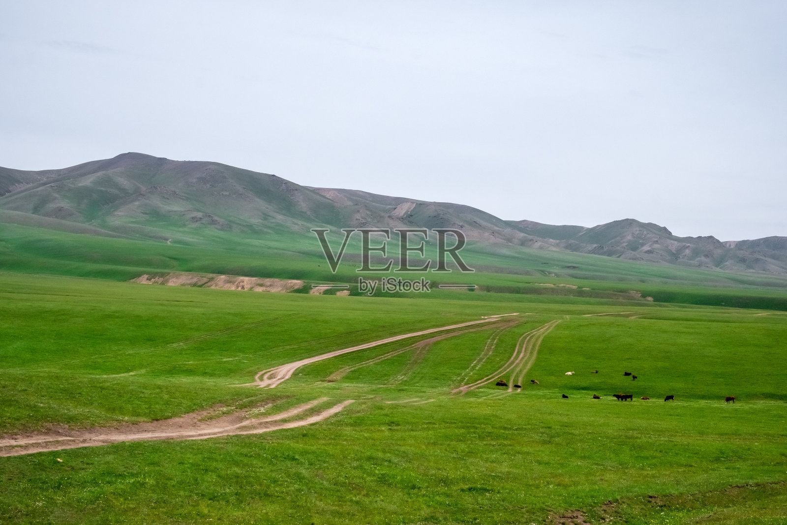 砾石路在绿色的高山高原与山脉的背景。装配高原照片摄影图片