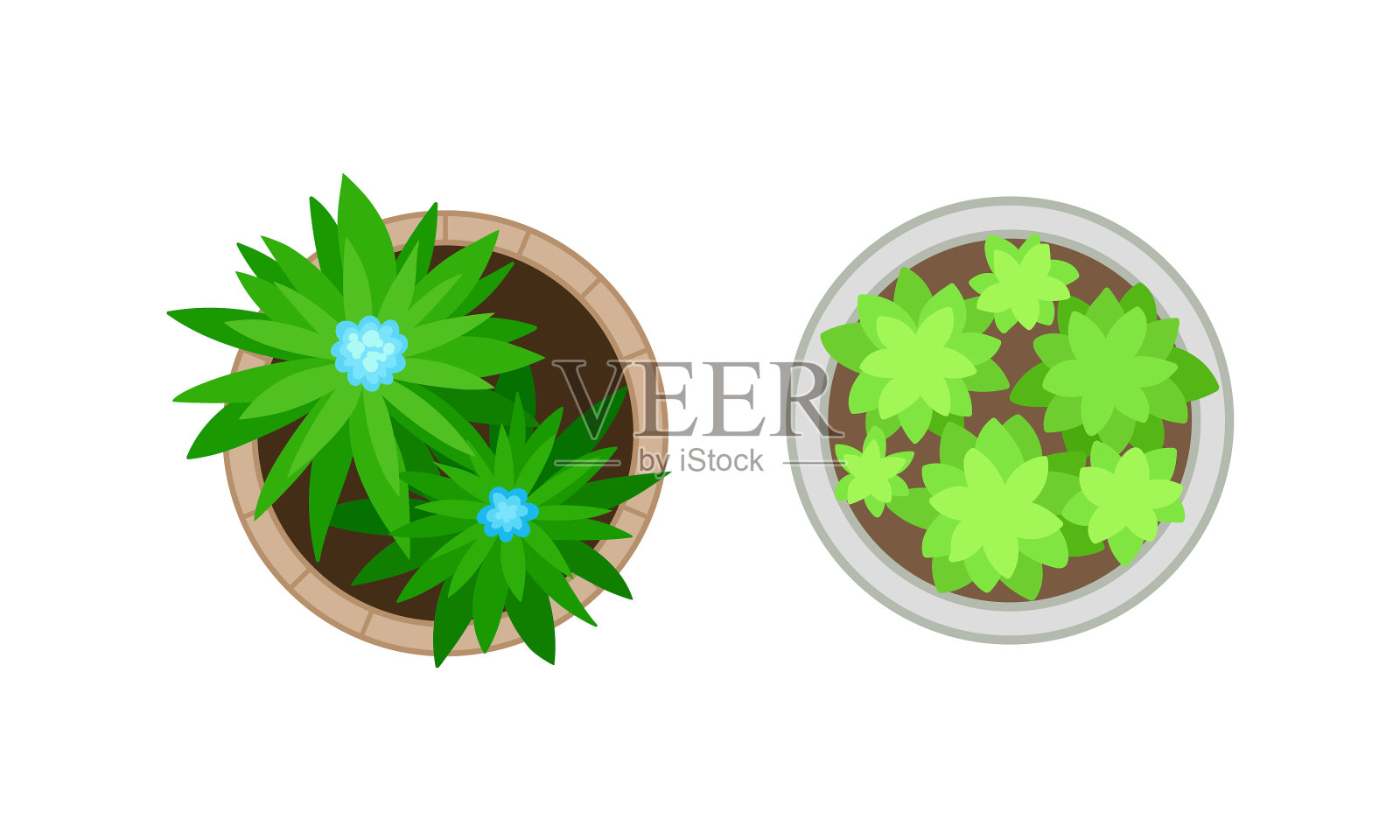 灌木的生长作为景观元素上面的观点插画图片素材