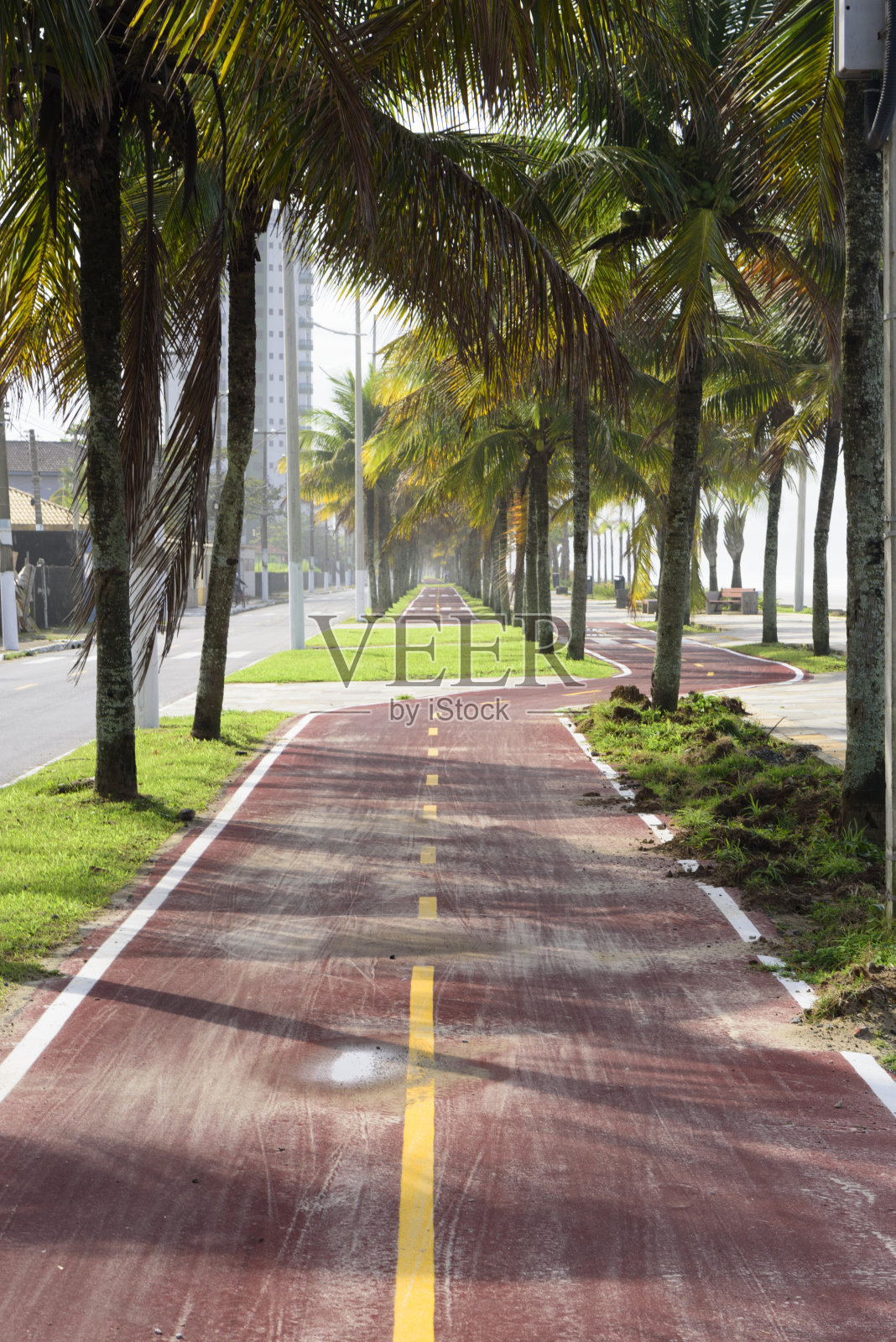 大单车道泳滩照片摄影图片