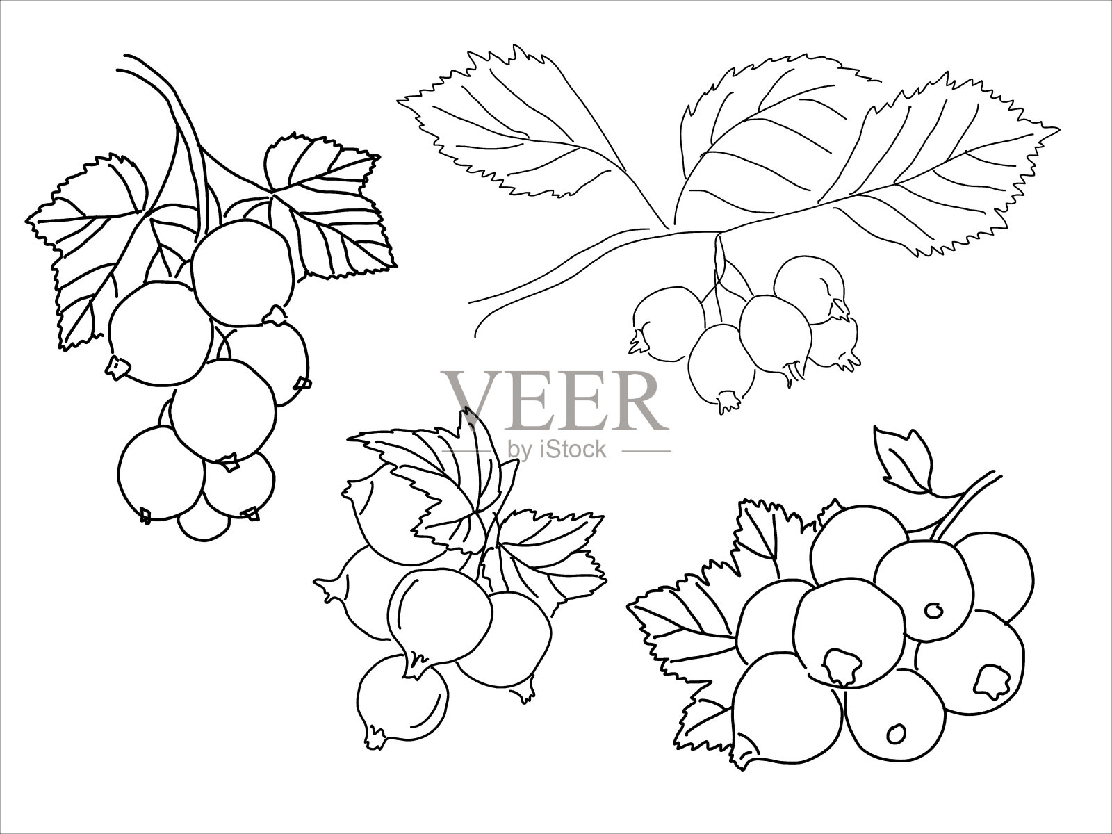 涂鸦风格的浆果合集插画图片素材