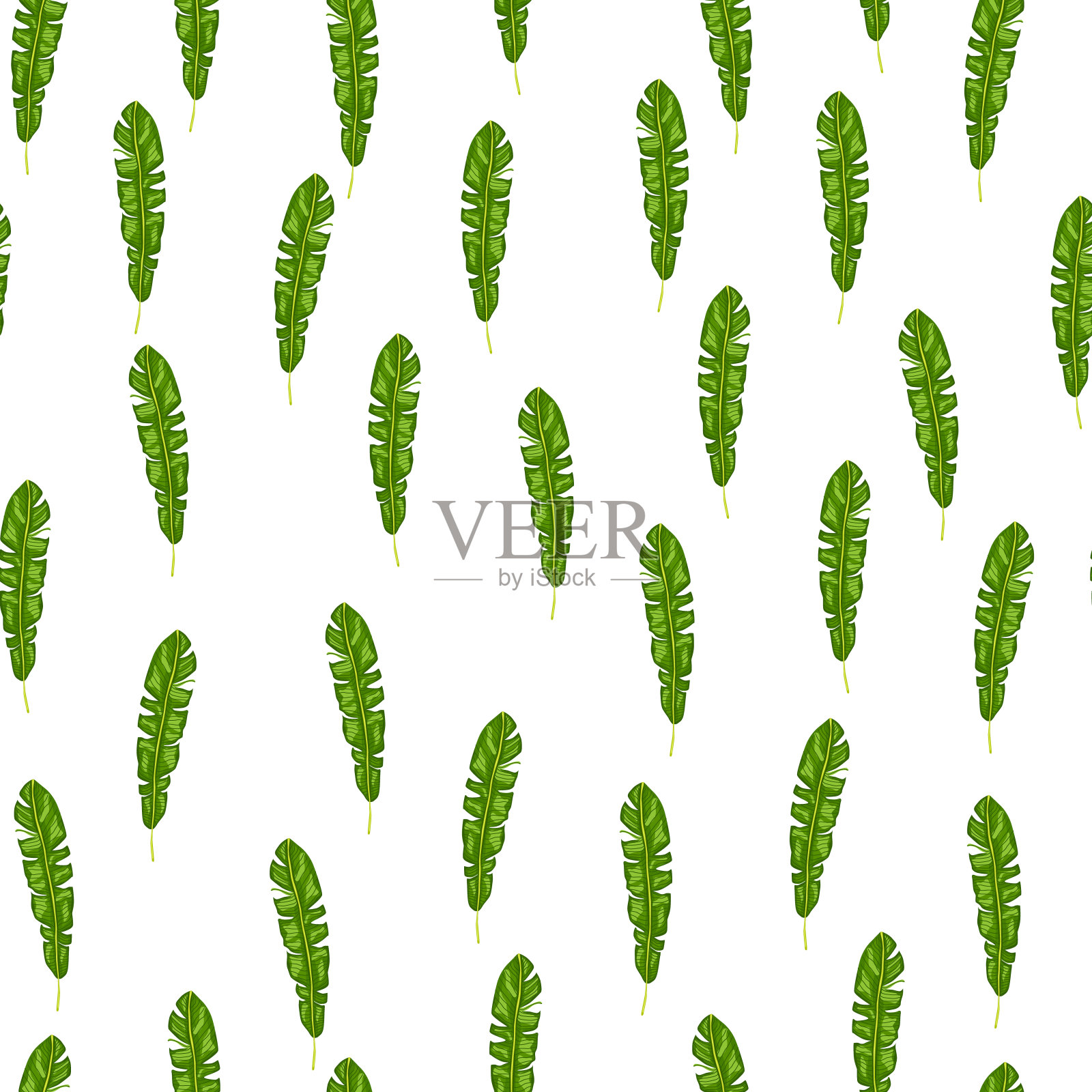 异域丛林无缝模式与热带树叶元素。插画图片素材