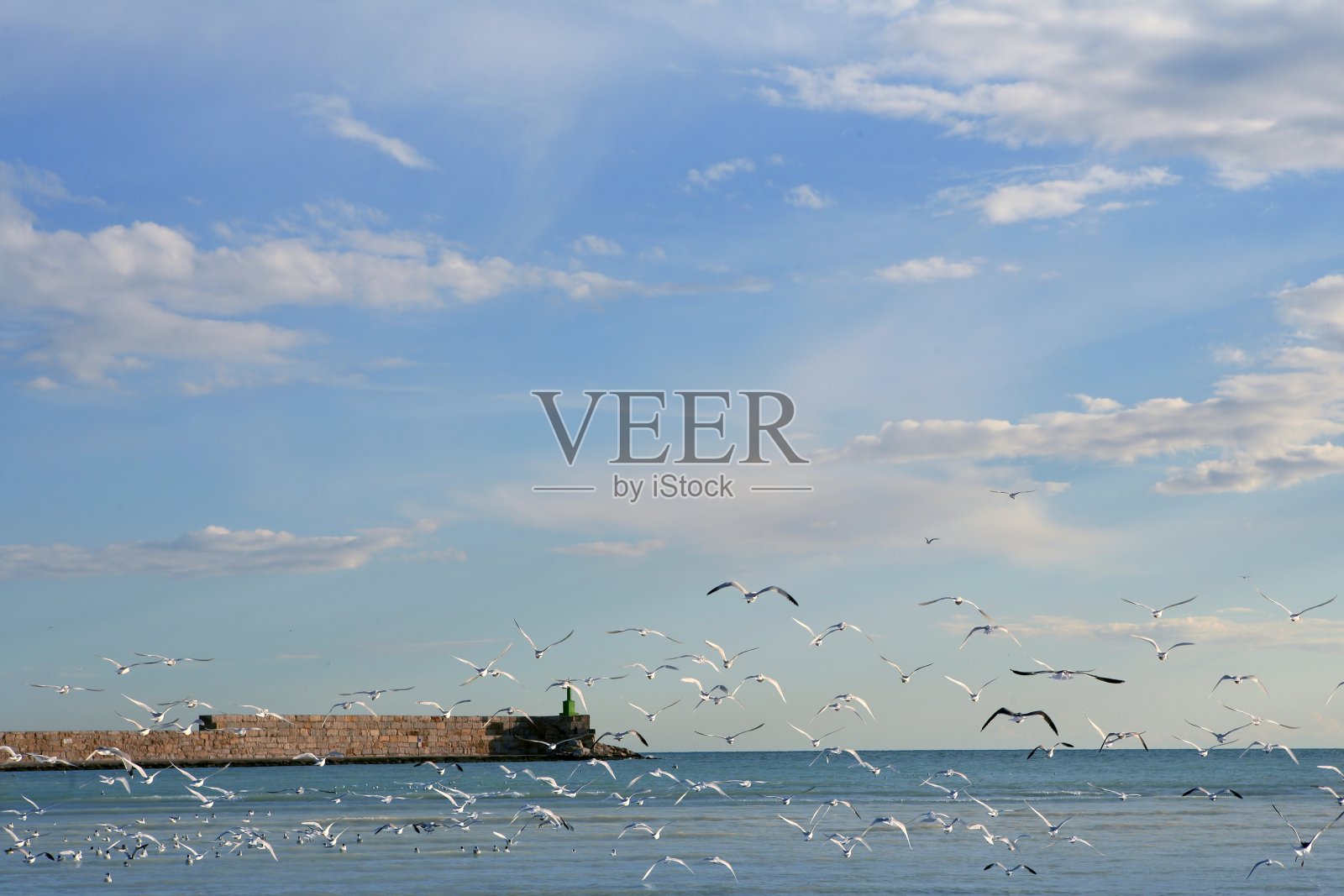 蓝色的地中海视野与许多海鸥飞行照片摄影图片