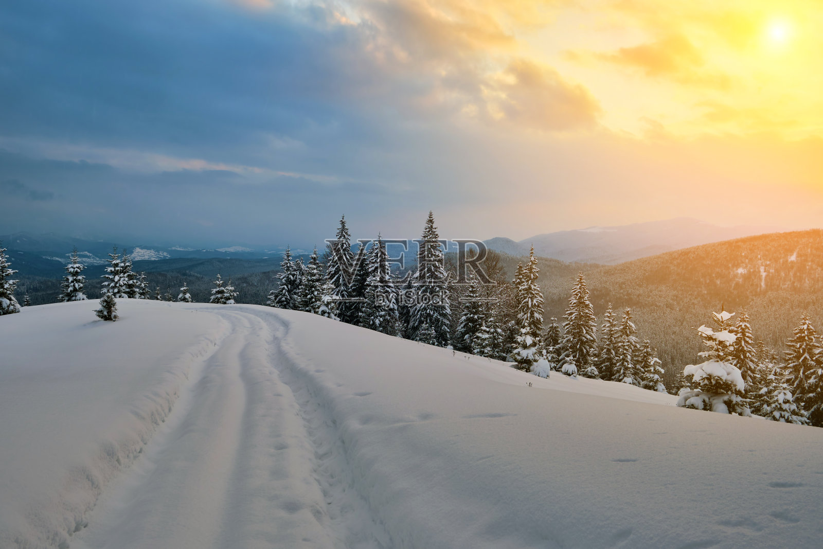 在寒冷阴沉的夜晚，在冬季的山林中，小路和裸露的树木覆盖着刚落下的雪，构成了郁郁葱葱的风景。照片摄影图片