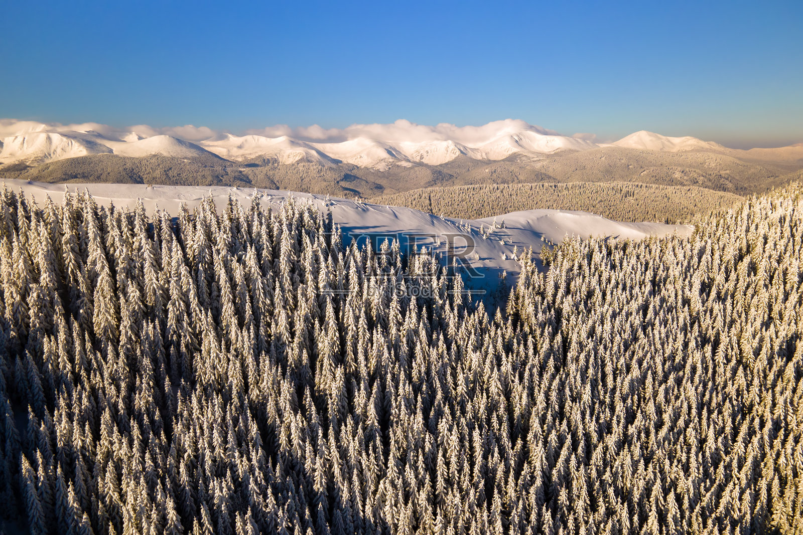 鸟瞰图的冬季景观与山覆盖常绿松树林后，在寒冷的明亮的一天大雪。照片摄影图片