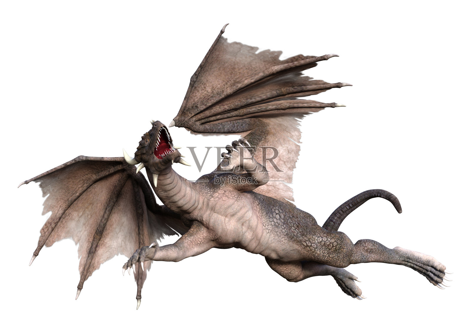 3D插图幻想龙在白色照片摄影图片