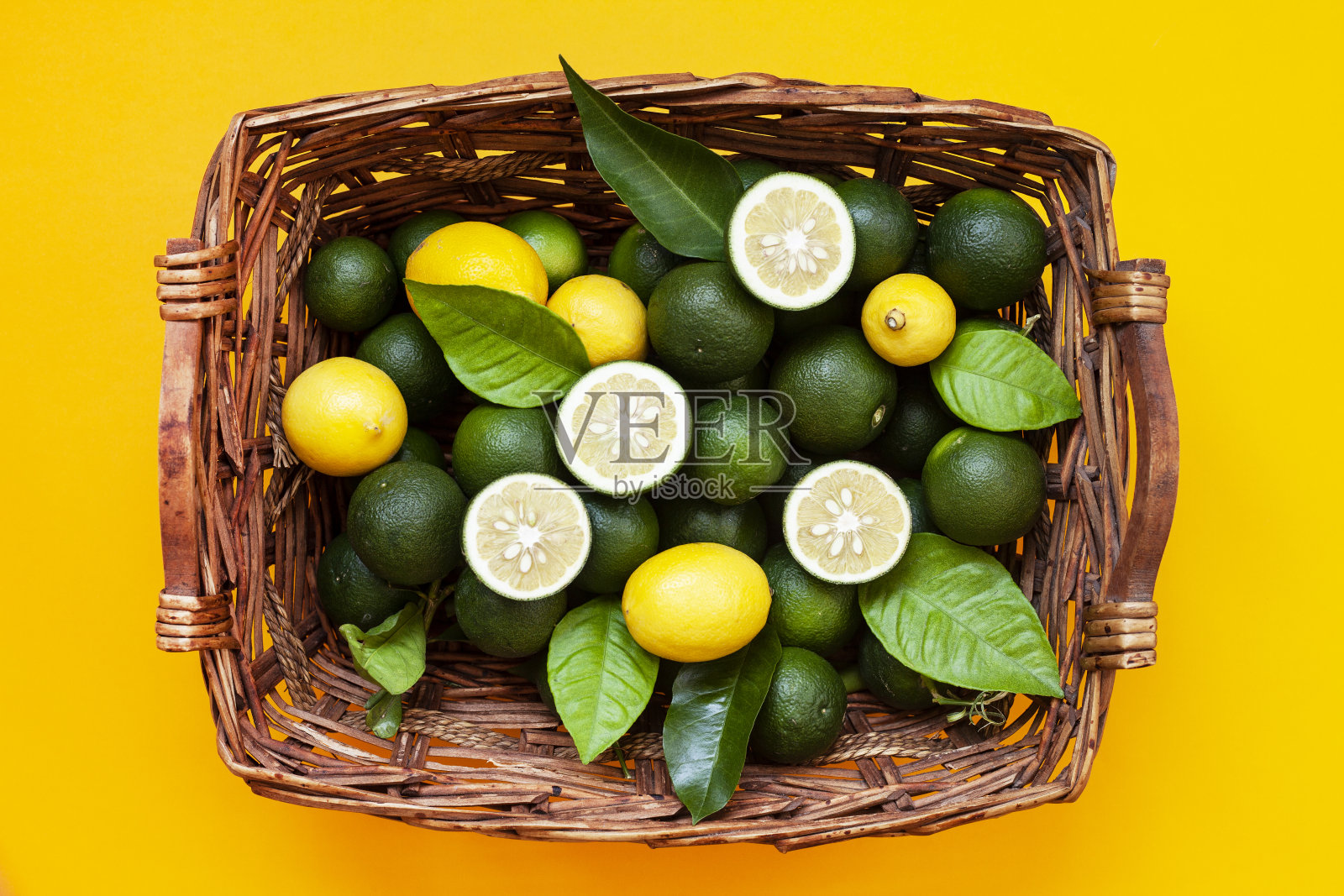 新鲜柠檬叶。柠檬树。照片摄影图片