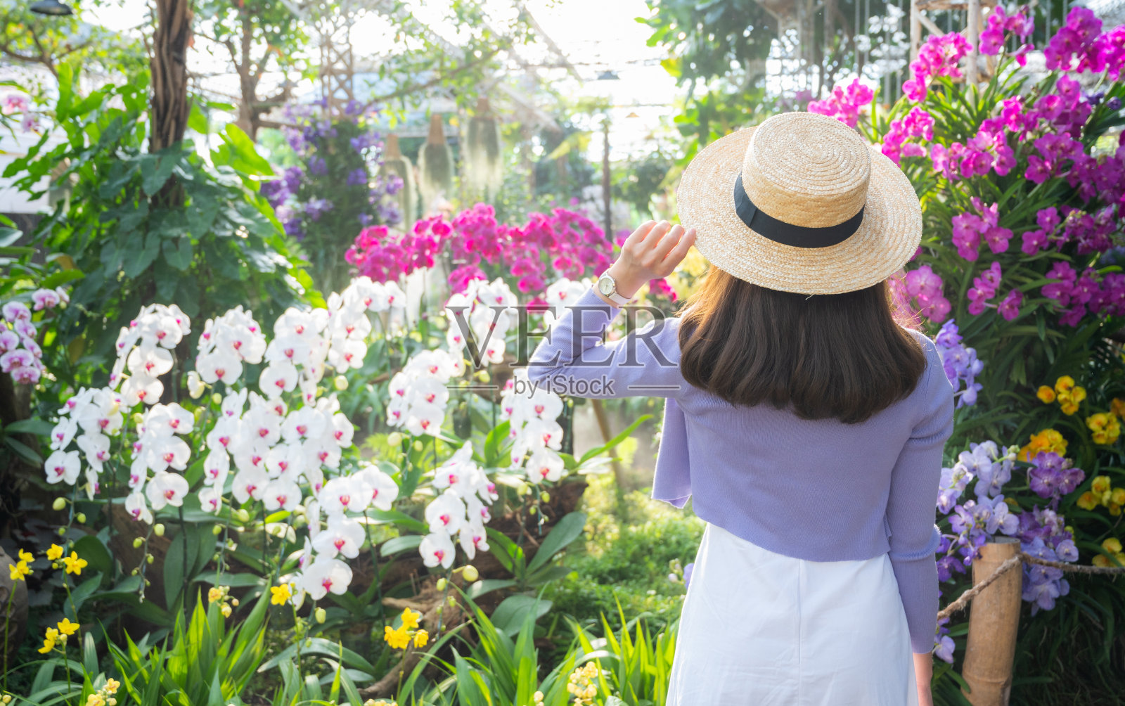 年轻的亚洲女人在参观花园时的背影。照片摄影图片