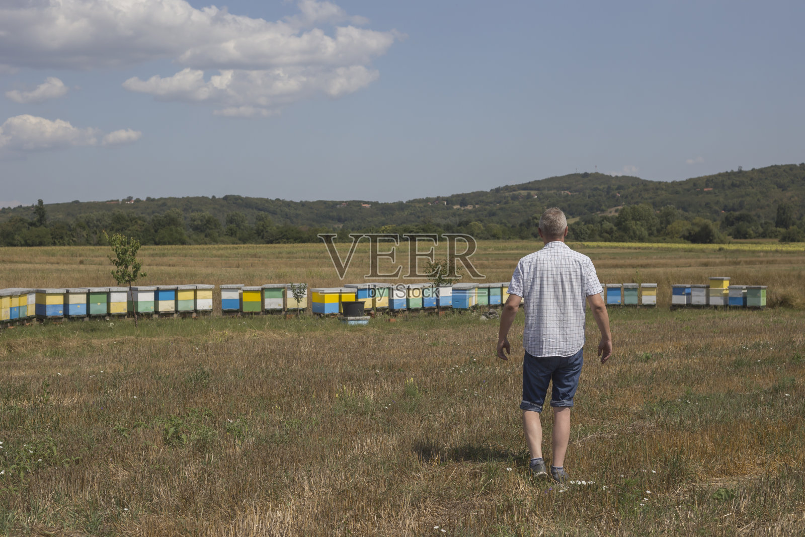 成年男子站在五彩缤纷的蜂箱前照片摄影图片