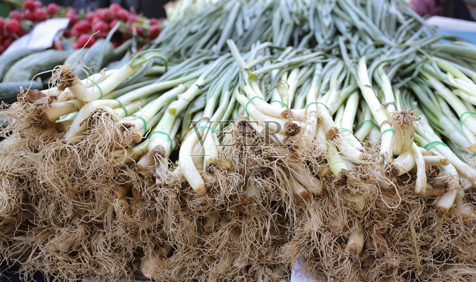 葱纹理照片摄影图片