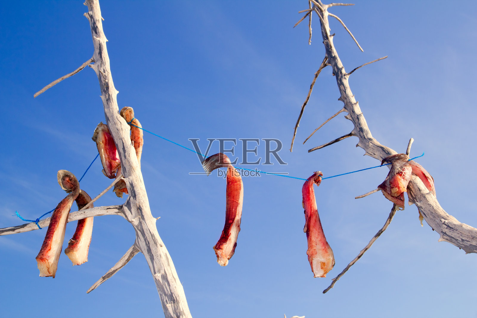地中海风干咸鱼照片摄影图片