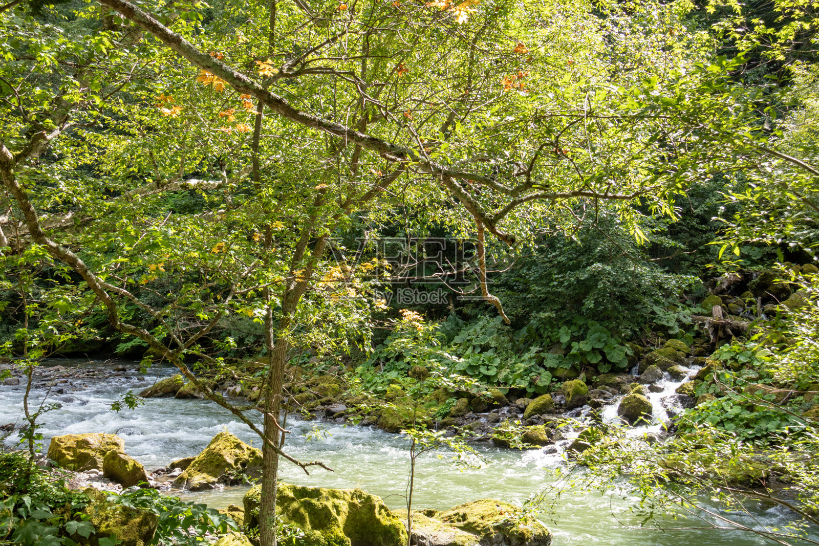 青山绿水环绕照片摄影图片